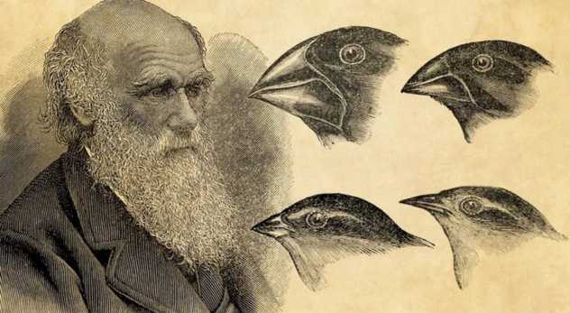Charles Darwin y El origen de las especies
