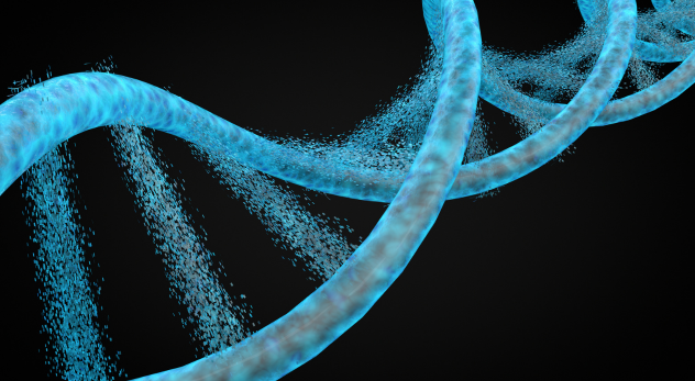¿Qué es el ADN? Definición y función principal